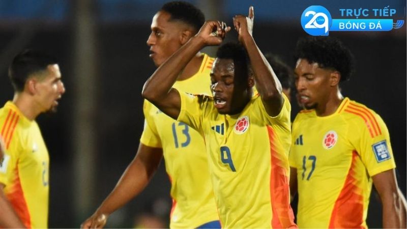 nhan-dinh-soi-keo-colombia-vs-ecuador-vong-loai-world-cup